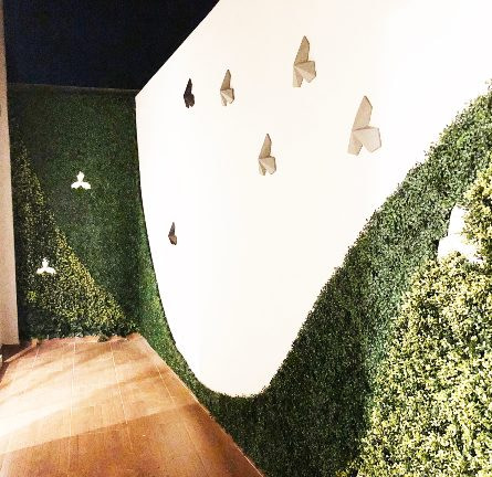 DECORACIÓN Y PAISAJISMO en oaxaca